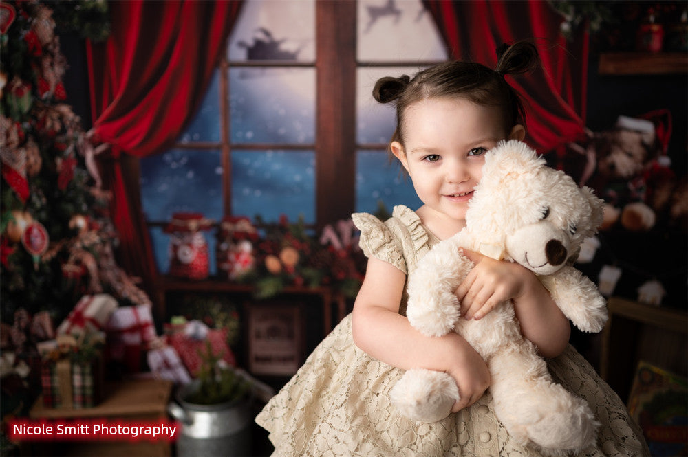 Avezano Christmas Gifts Candy Dolls Window Photography Backdrop-AVEZANO